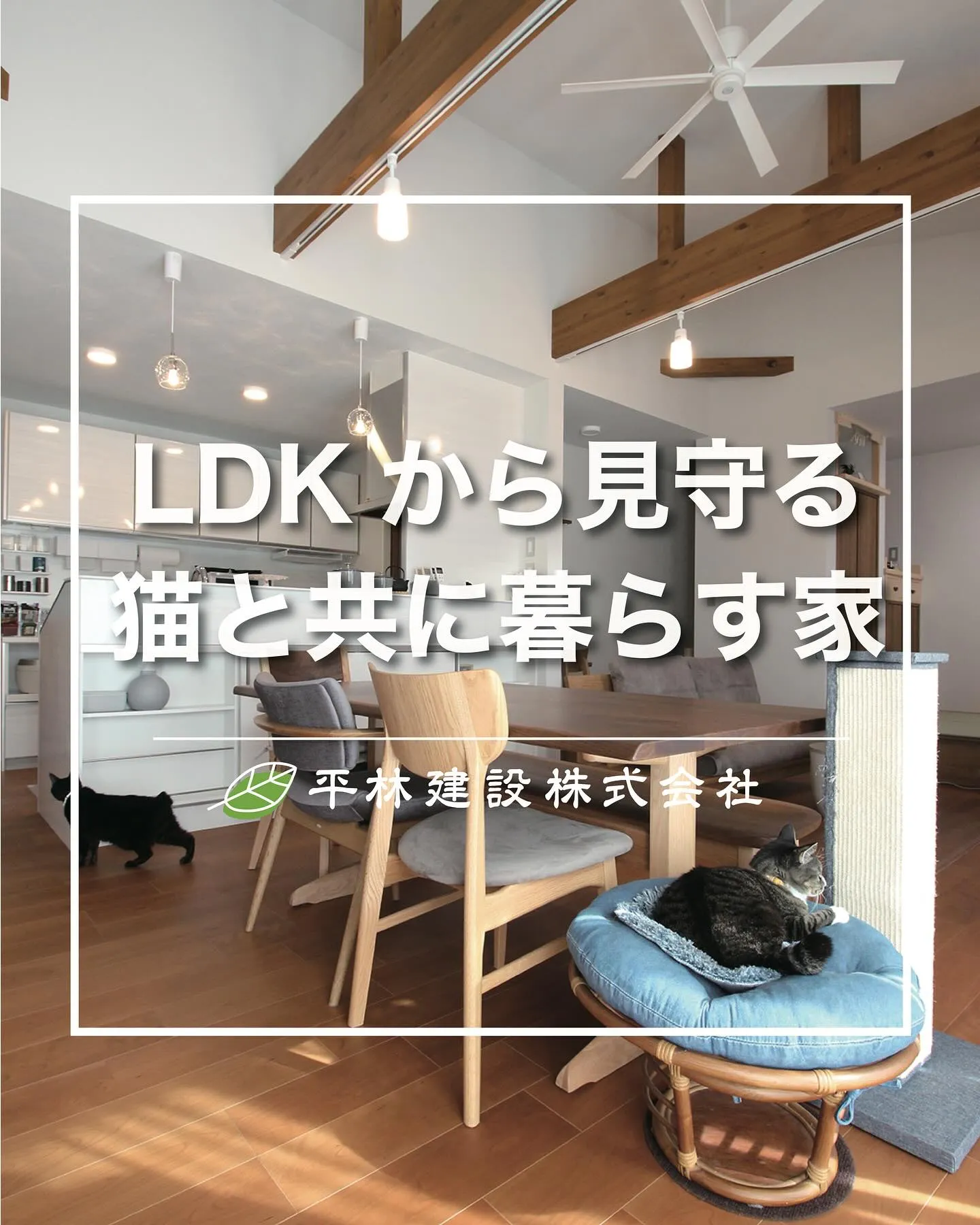 今回は、LDKから見守る猫と共に暮らす家