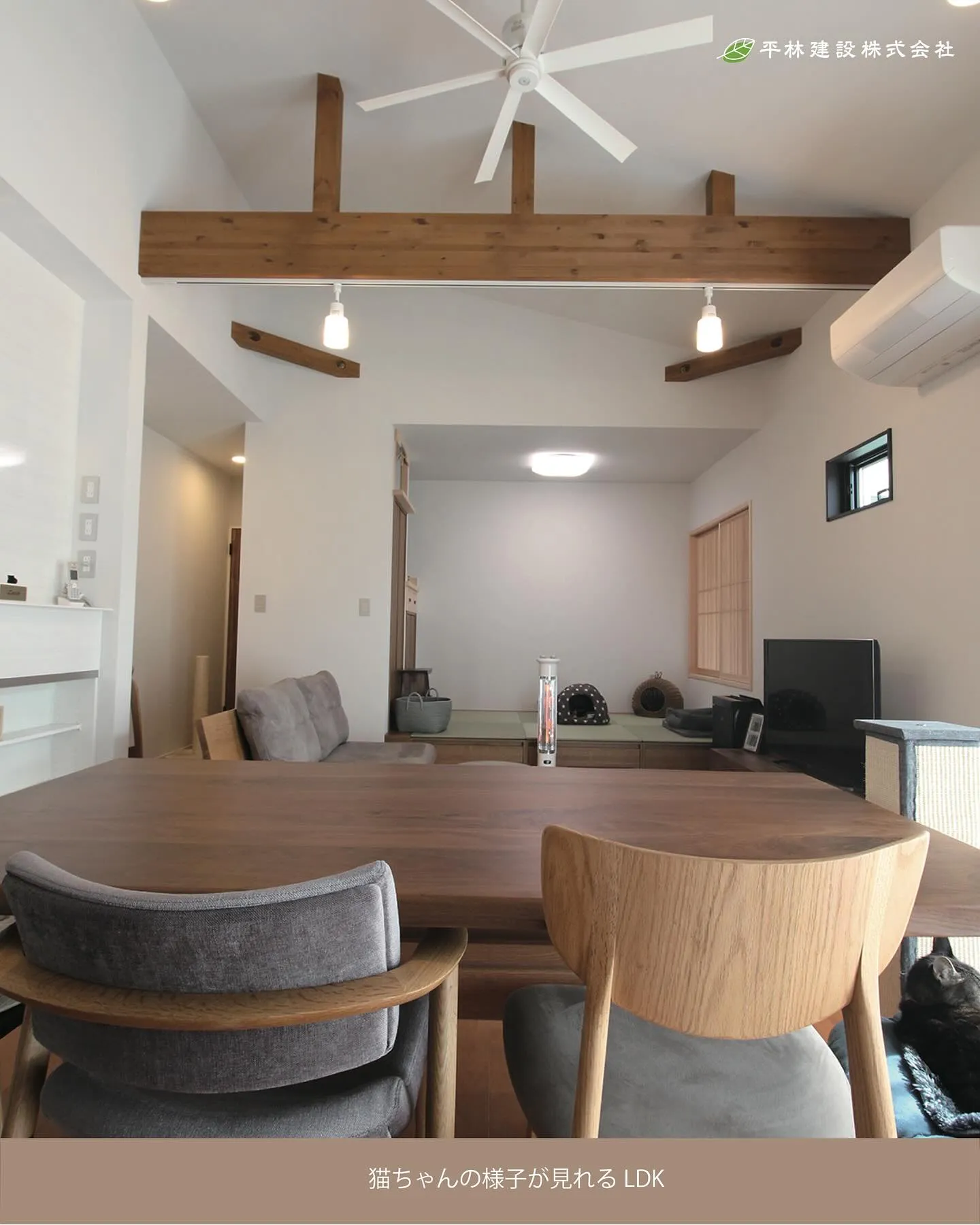 今回は、LDKから見守る猫と共に暮らす家